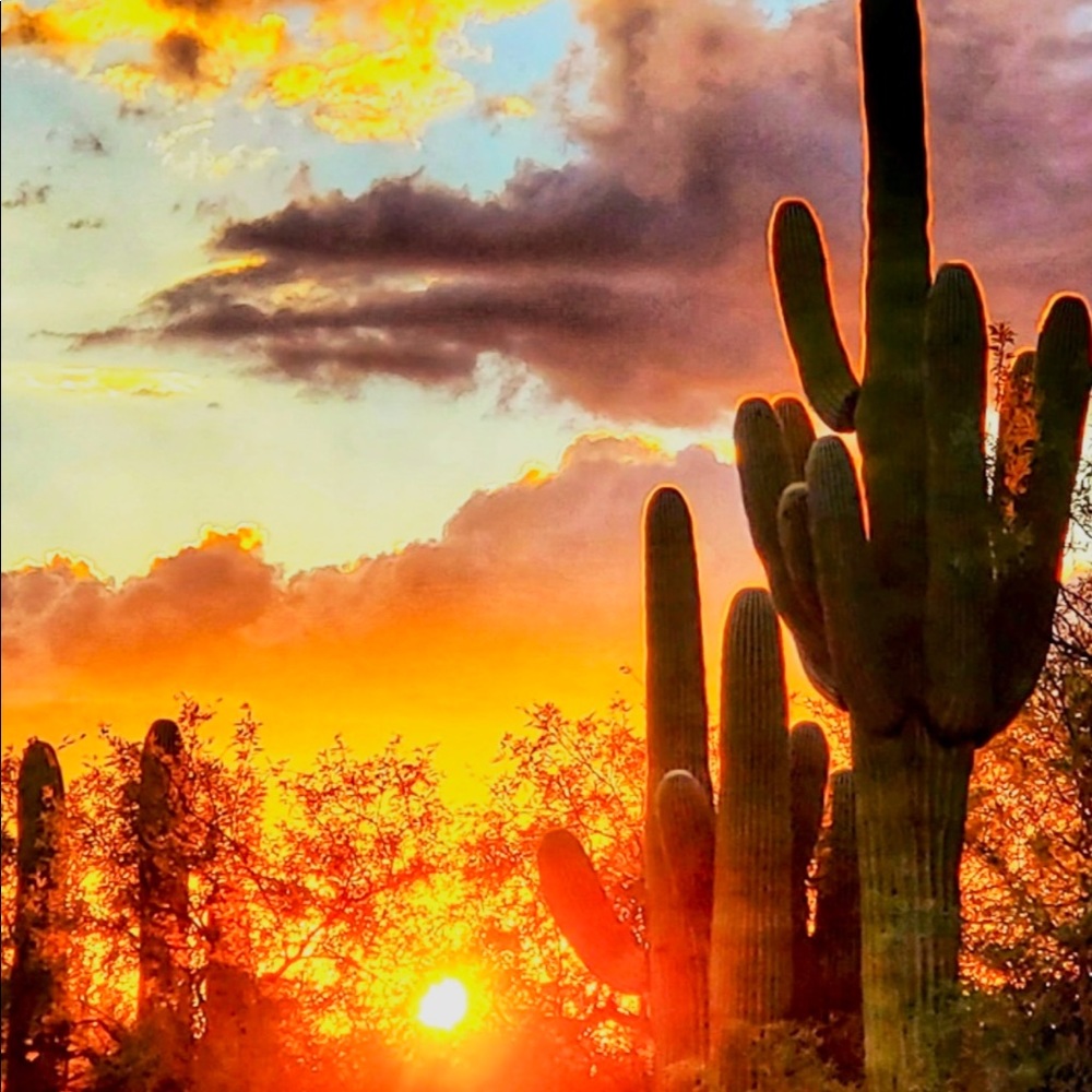 Meet your Posher, Jen